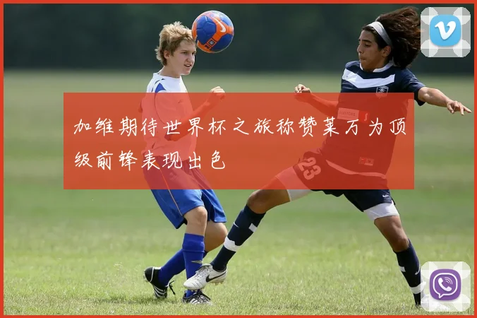 加维期待世界杯之旅称赞莱万为顶级前锋表现出色