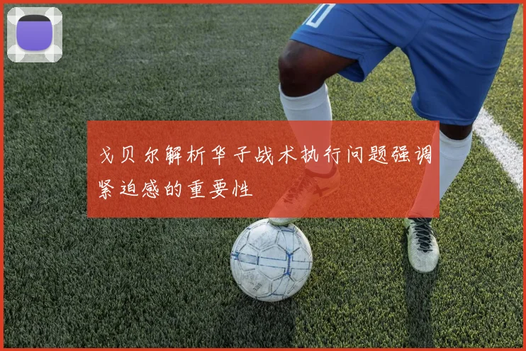 戈贝尔解析华子战术执行问题强调紧迫感的重要性